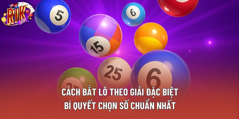 Cách Bắt Lô Theo Giải Đặc Biệt: Bí Quyết Chọn Số Chuẩn Nhất
