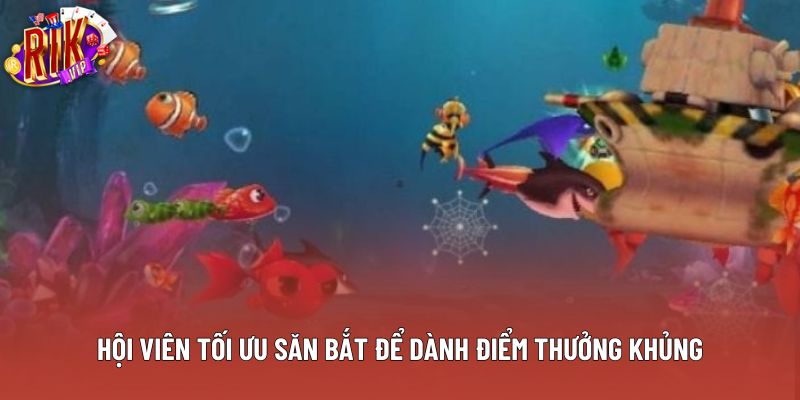 Hội viên tối ưu săn bắt để dành điểm thưởng khủng