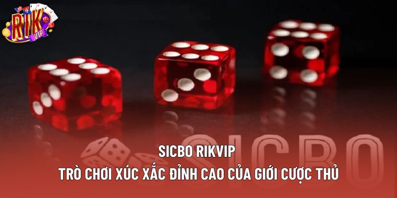 Sicbo Rikvip – Trò Chơi Xúc Xắc Đỉnh Cao Của Giới Cược Thủ